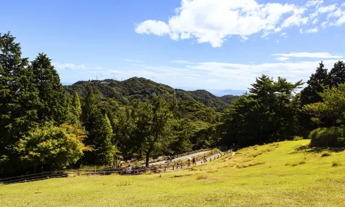 롯코 산