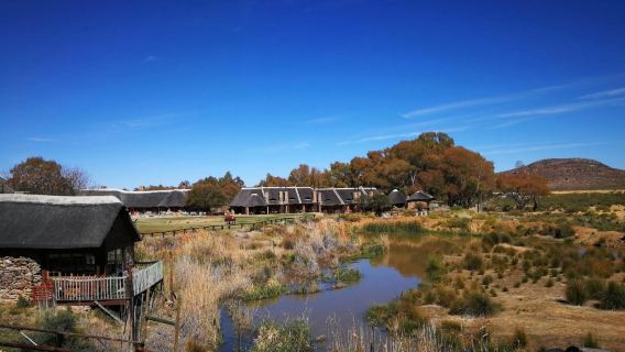 Aquila Private Game Reserve