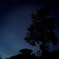 【阿智村】日本一の星空