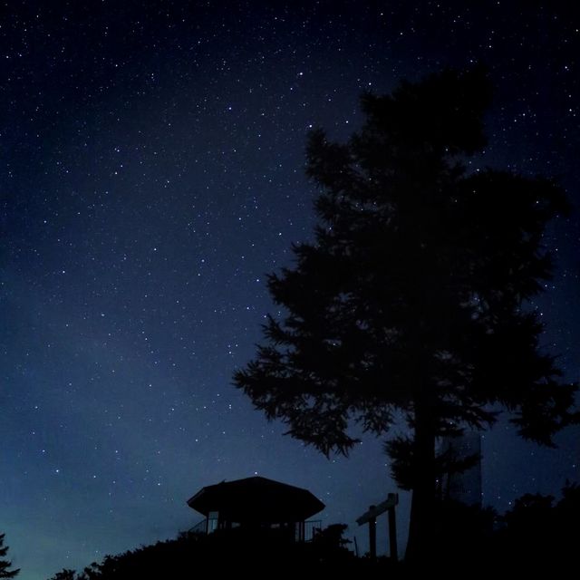 【阿智村】日本一の星空