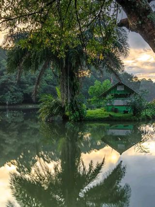 Situ Gede Lake is the most famous lake in Bogor. This lake is a tourist place that is quite close to the center of Bogor. This lake was once storage of water for which water was used for irrigation of Kawalu Sub-District, Indihiangm Mangkubumi, and Cibeureum. Currently, this lake has developed as a recreation place. Another interesting thing about this lake is the small island in the middle.

The location of Situ Gede is on the edge of the darmaga forest. This forest is a research forest managed by the Ministry of Forestry. The temperature around the lake is quite chilly. The surrounding scenery can also make you feel calm and peaceful.

#wintergetaway 
#tripinspired 
#happynewyear 
#wintergetaway#tripinspired#happynewyear