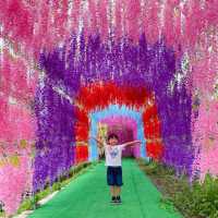 錦上路菠蘿園 親親草泥馬 天空之鏡