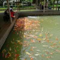 ตลาดน้ำสวนผึ้ง Veneto