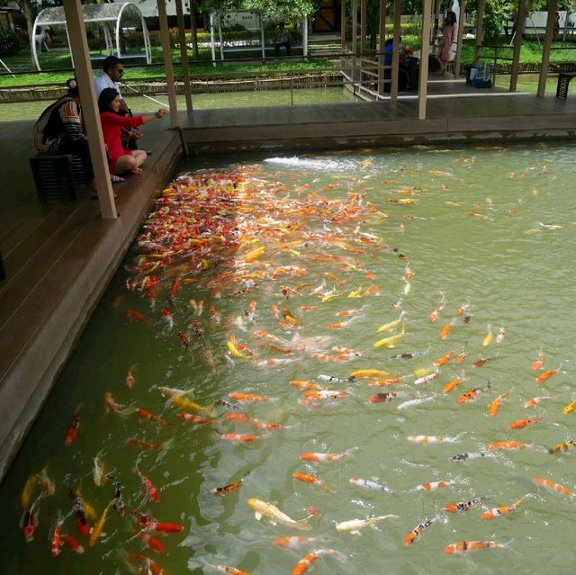 ตลาดน้ำสวนผึ้ง Veneto