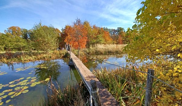 Forstbotanischer Garten Thrandt