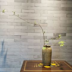 曲阜尼山书院酒店-西餐厅 User Photo