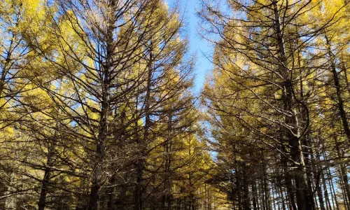 Duolun Lake Scenic Area
