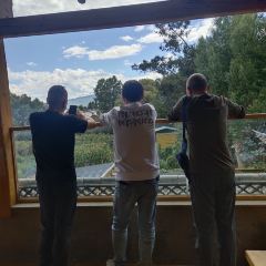 江尾田园火秋鱼 User Photo