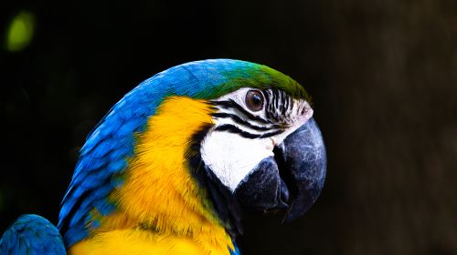 杭州動物園