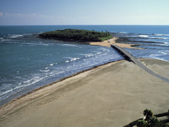 青島