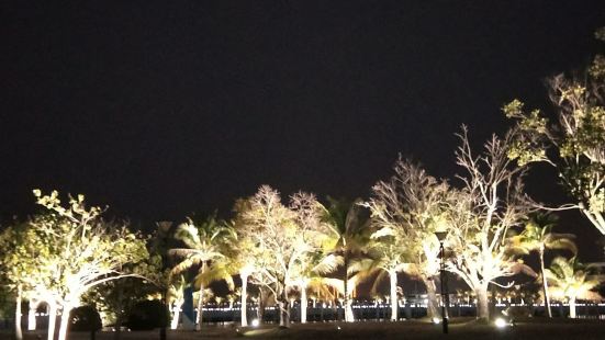 海湾这边晚上灯光我一开真的非常好看了。设备好的人去拍拍拍绝对