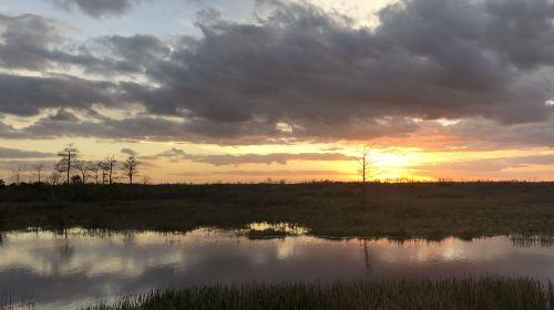 Fujin National Wetland Park