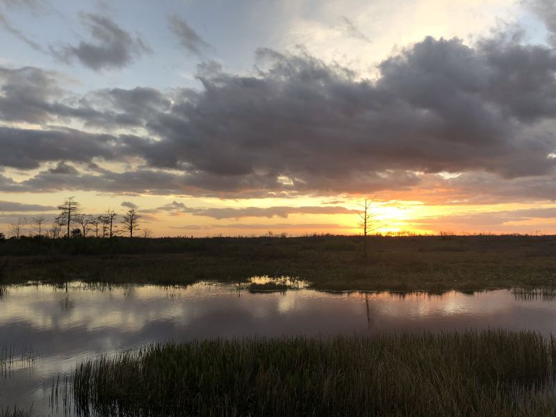 Fujin National Wetland Park