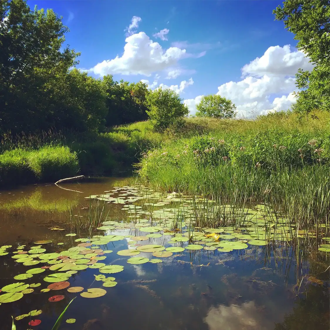Hotel dekat Longhuguojiashidi Park