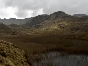 Paque Nacional Cajas