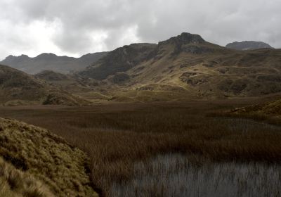 Paque Nacional Cajas