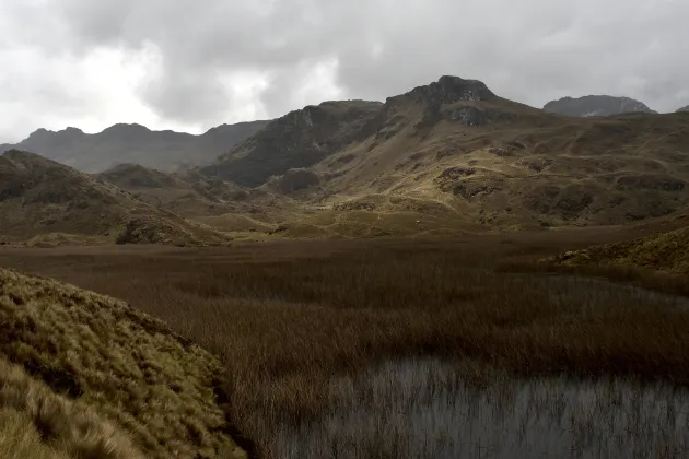 Hostal Costa del Pacifico