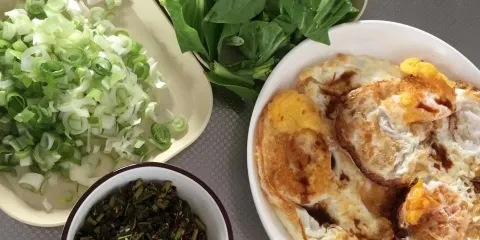 芒法傣園飯店