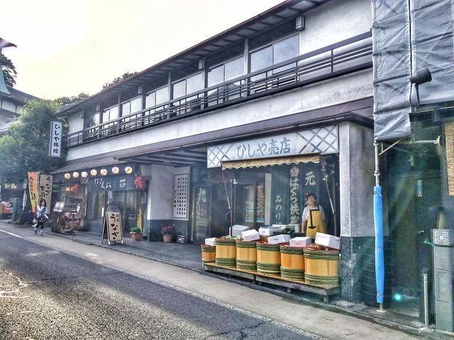 【東京來往機前好去處| Outlet| 寺廟】