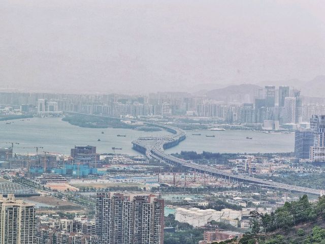 Birdview of City Landscape - Shenzhen 