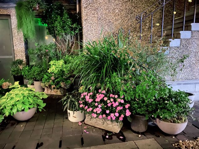 Night stroll in Sinan Road 
