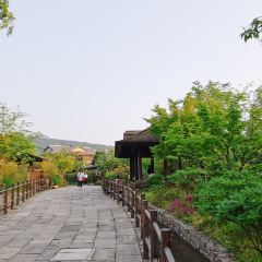 一念之間張用戶圖片