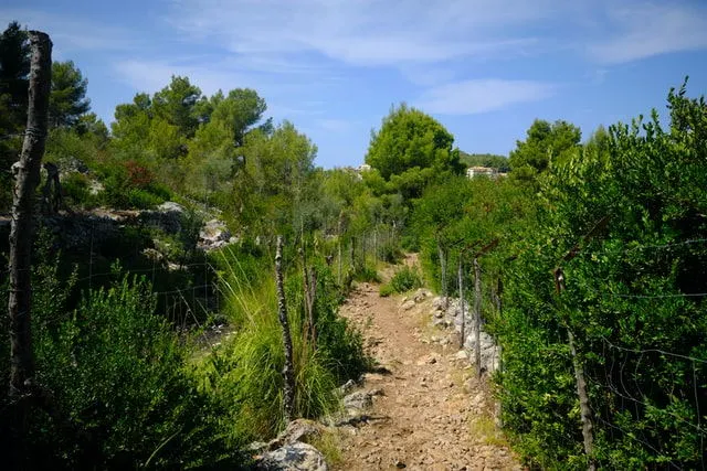 Guide de voyage : Majorque