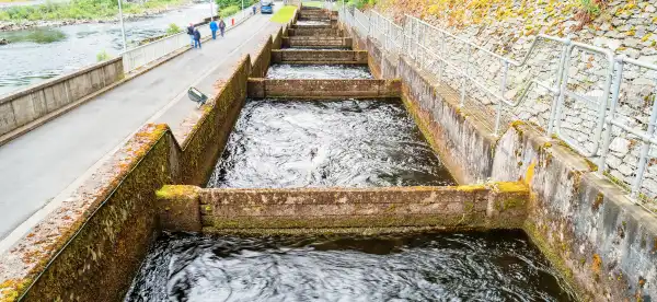 Hotels in Pitlochry