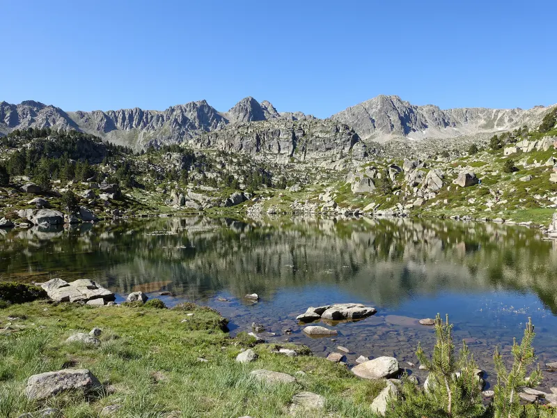 Encamp