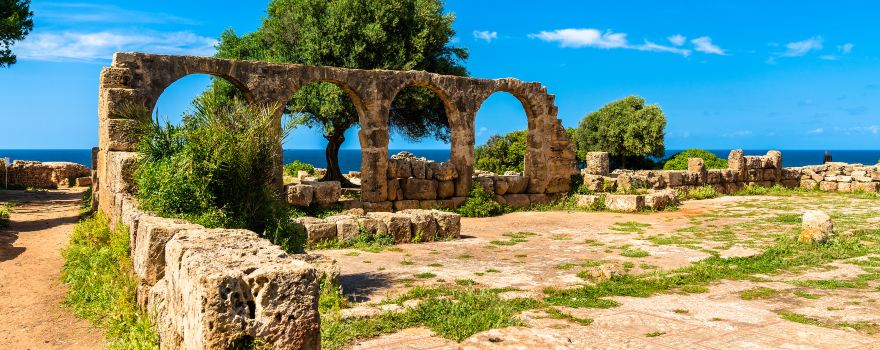 Wilaya de Tipaza