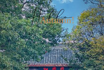 HE TUAN TUAN User Photo