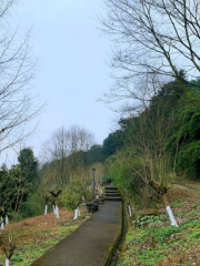 銅鑼峽穀景區