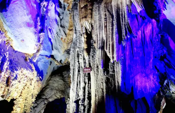 白龍洞門票家庭（1位成人+1位小童）