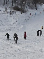 金霖森林公園滑雪場