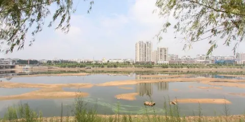 橋頭公園