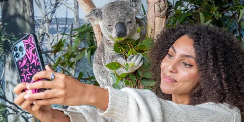 悉尼藍山+費瑟戴爾動物園一日遊中文11人團/上門接/3段纜車