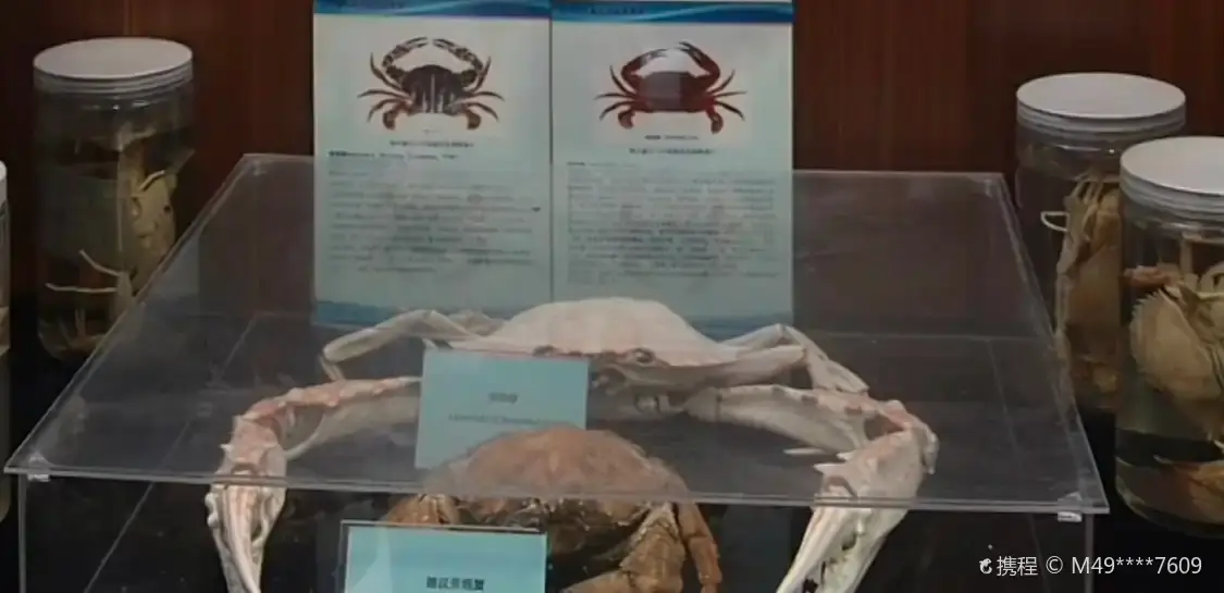 Hotels near Marine Science and Technology Museum