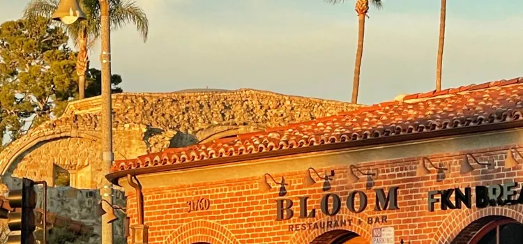 Bloom Restaurant + Bar