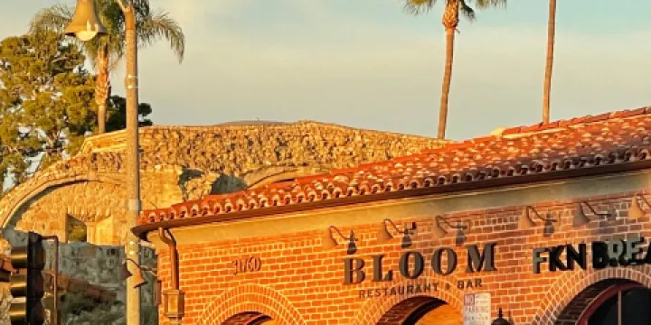 Bloom Restaurant + Bar