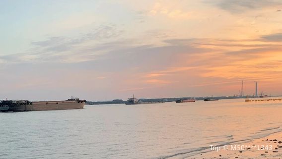 Yangzijiang Park (East Gate)