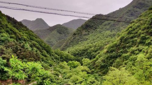 Mt. Jueshan Forest Park