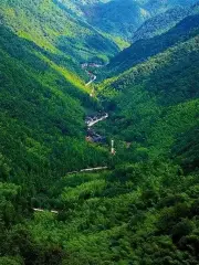 Treasure Botanical Garden, Wuyi Mountain Nature Reserve