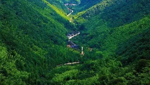 Treasure Botanical Garden, Wuyi Mountain Nature Reserve