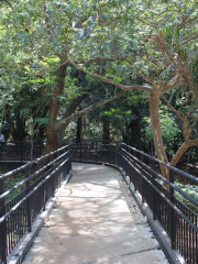 Augusta - Mayor Bruno Covas Park