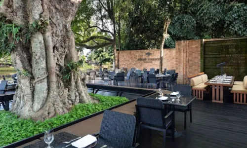 BODHI TERRACE