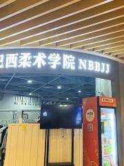 寧波巴西柔術學院·NBBJJ