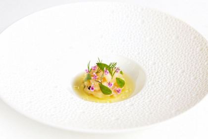 Solstice by Kenny Atkinson