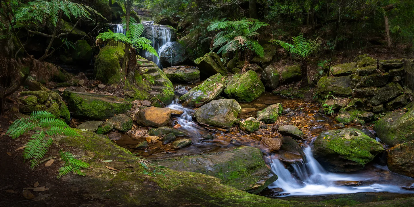 2_Leura