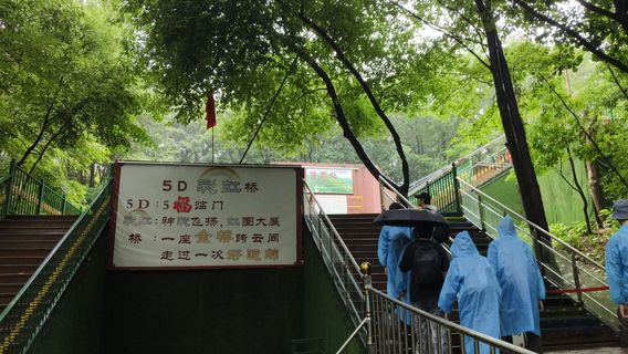 5D Glass Rainbow Bridge