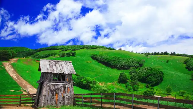 โรงแรมใกล้Eco Green Campus [Daegwallyeong Samyang Ranch]